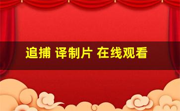 追捕 译制片 在线观看